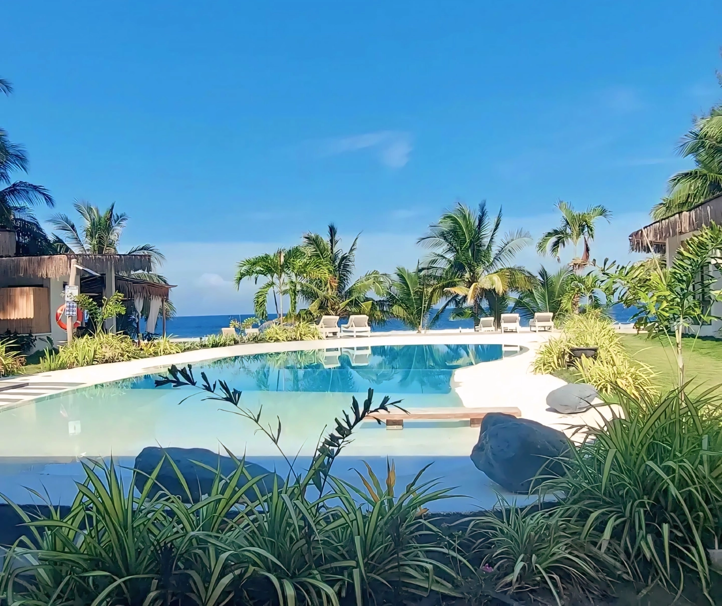 Tropical resort infinity pool overlooking the ocean with palm trees and lounge chairs.