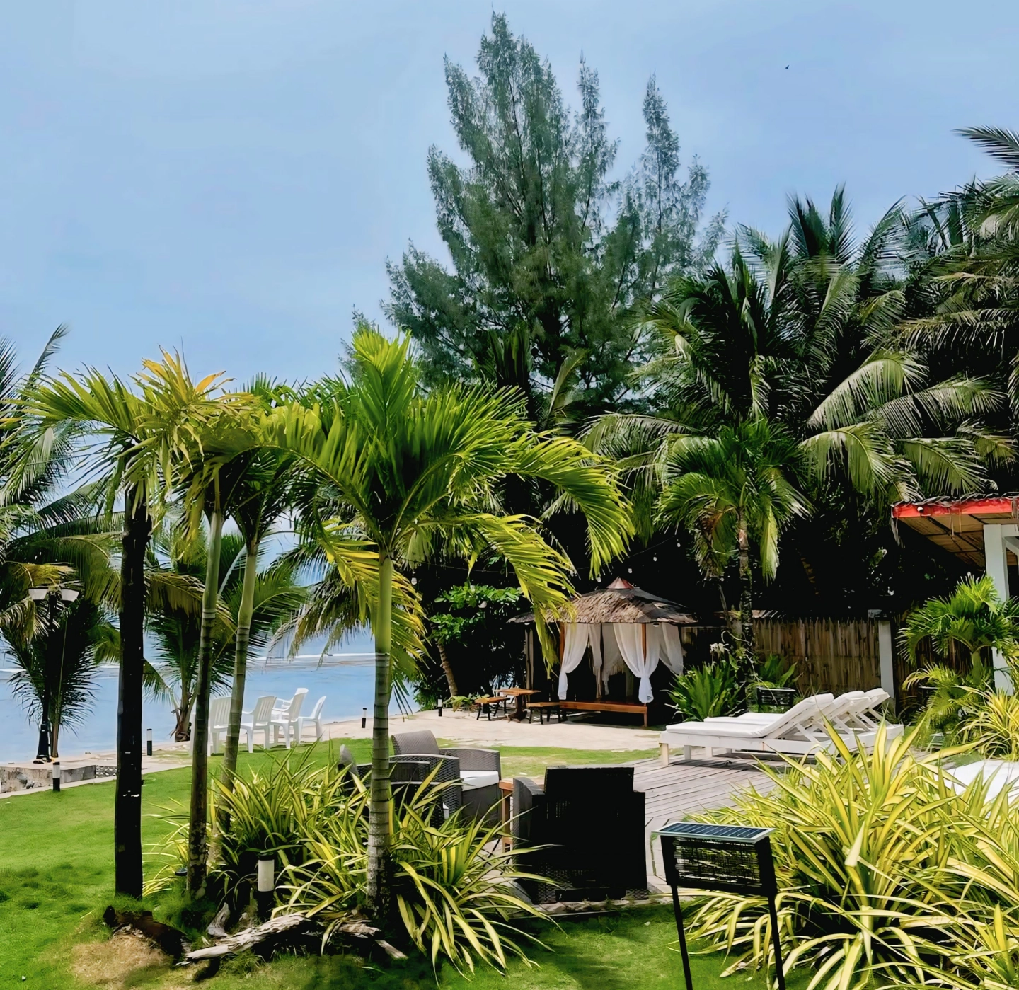 Sun and Waves Resort: Tropical beachside relaxation with palm trees and lounge chairs.
