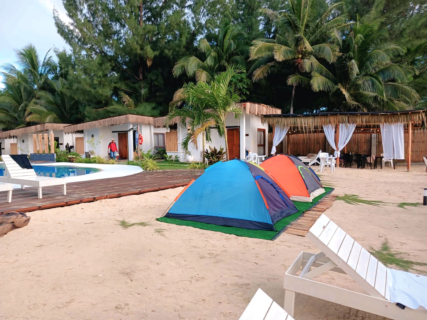 Beachfront glamping tents and bungalows with a swimming pool and coconut trees