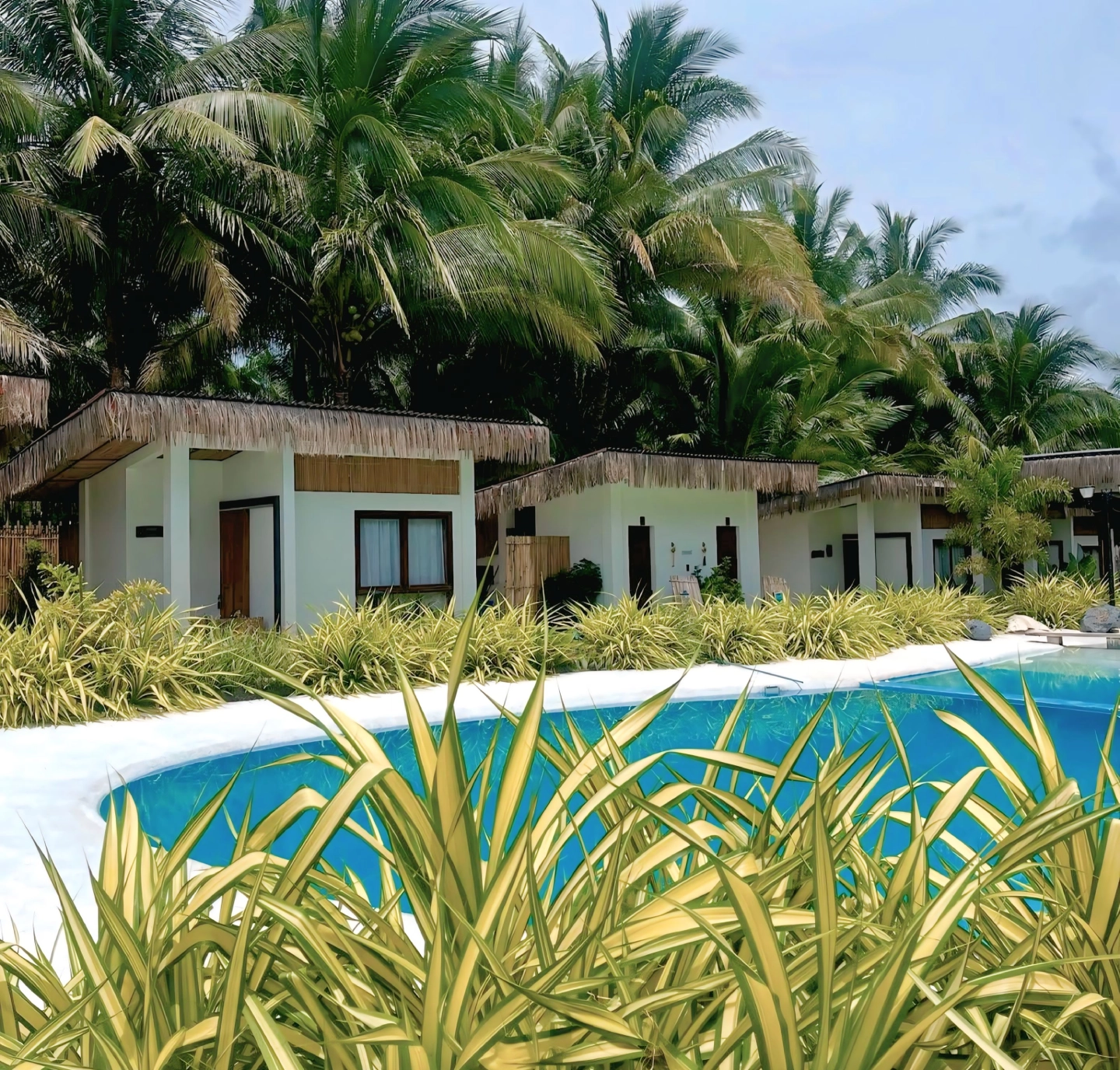 Tropical resort bungalows with thatched roofs and a swimming pool