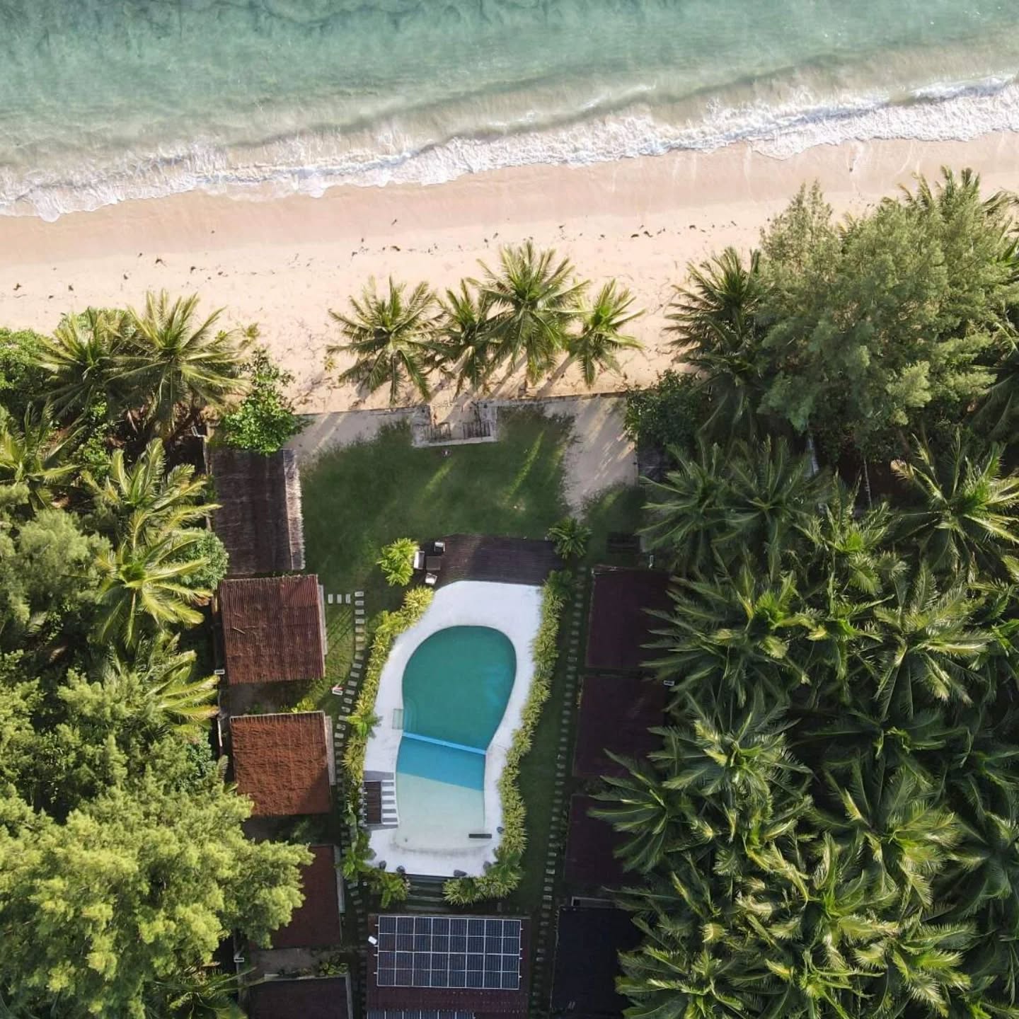 Aerial view of Sun and Waves Resort's beachfront bungalows, pool, and coconut trees
